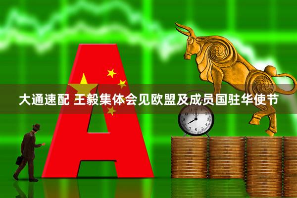 大通速配 王毅集体会见欧盟及成员国驻华使节