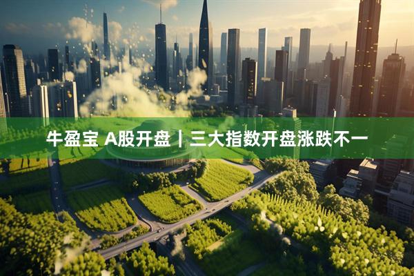 牛盈宝 A股开盘｜三大指数开盘涨跌不一