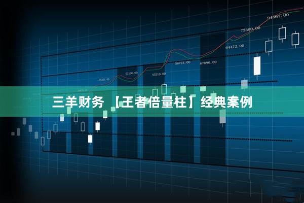 三羊财务 【王者倍量柱】经典案例